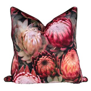 PROTEA BLUSH